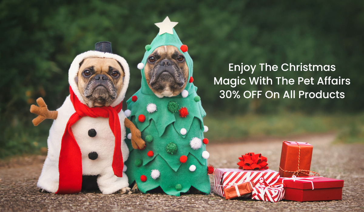 The Pet Affairs Christmas Sale: Making Your Pets Merry and Bright
