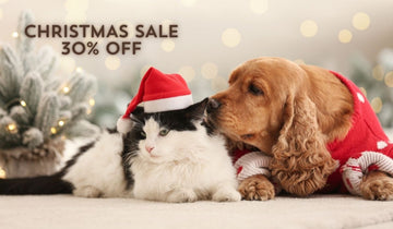 The Best Christmas Gifts for Your Furry Friends