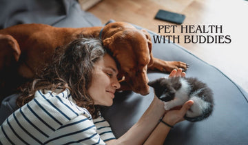 Navigating Pet Health with the 'Buddies' App