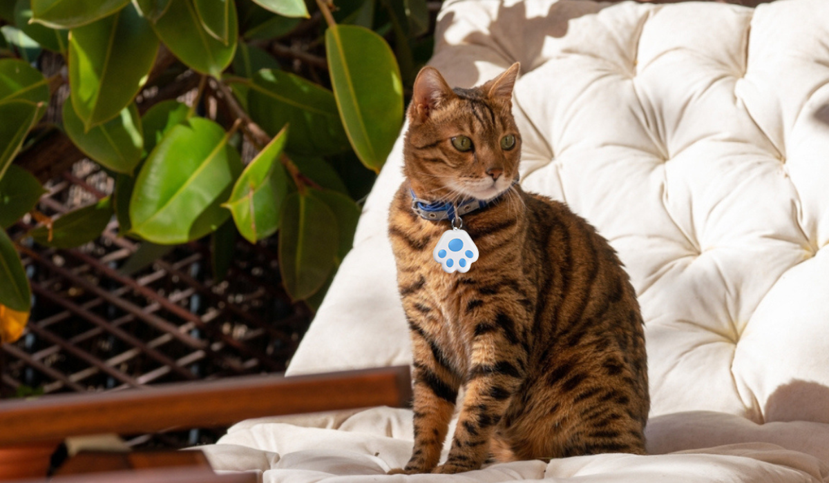 Pet Safety and Security: Introducing the Pet Guardian Mini Bluetooth GPS Tracker
