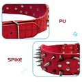 PetAffairs Spiked and Studded Dog Collar