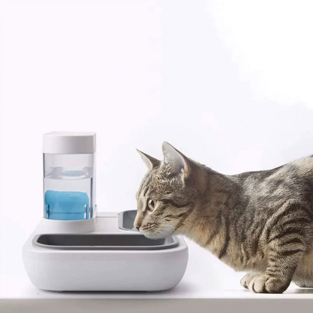 PetAffairs 2-in-1 Anti-Spill Food and Water Bowl for Pets
