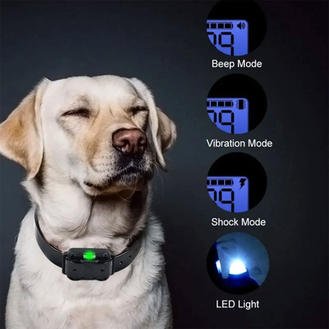 PetAffairs 8m Range Remote Dog Training Collar