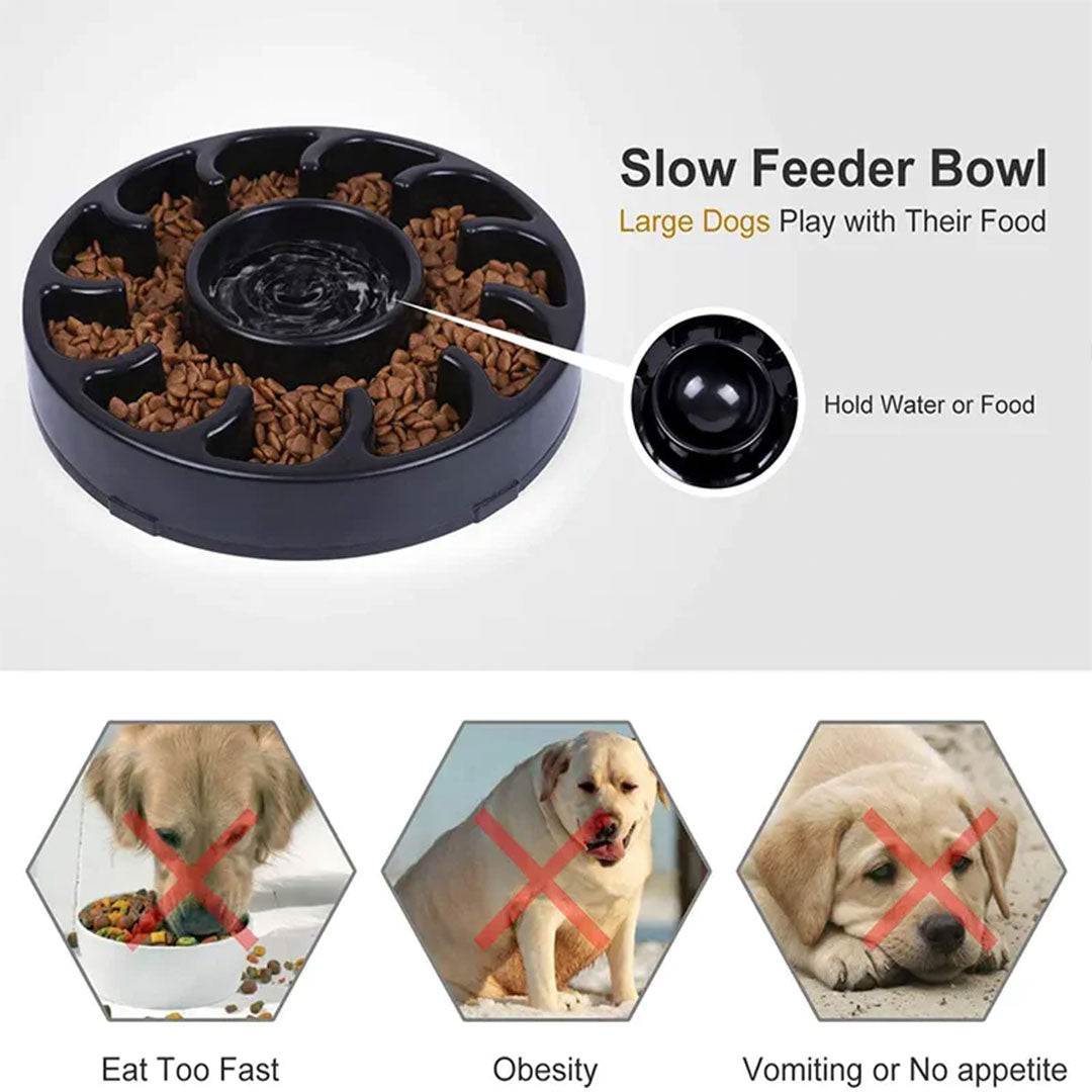 PetAffairs Eco-Friendly Nonslip Slow Feeding Pet Bowl