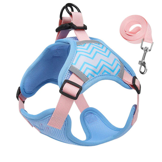 Paws and Patterns Dog Harness and Leash Set