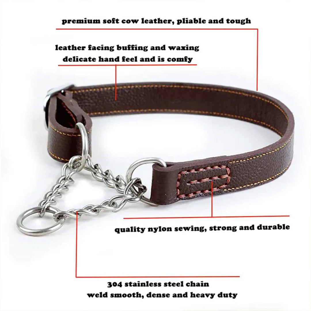 PetAffairs Superior Leather Martingale Dog Collar