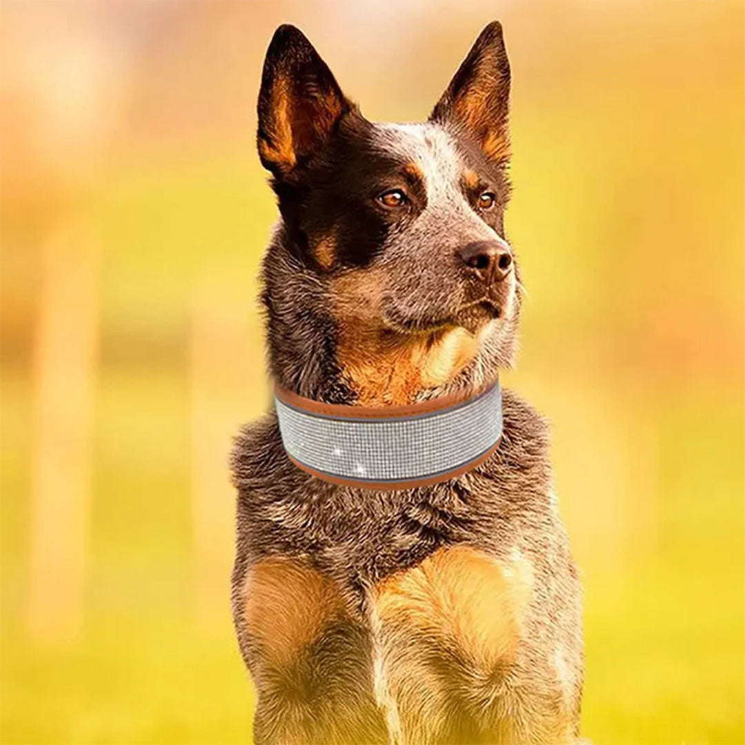 PetAffairs Crystal Elegance Rhinestone Dog Collar