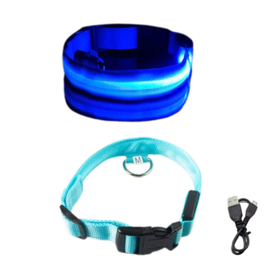 PetAffairs USB Rechargeable LED Dog Collar