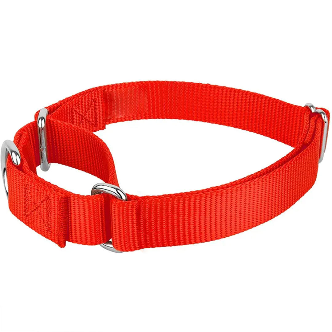 PetAffairs Nylon Dog Collar and Puppy Pet Collar For Small Large Dogs