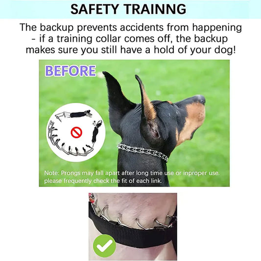 PetAffairs Precise Training with Super Dog Collar