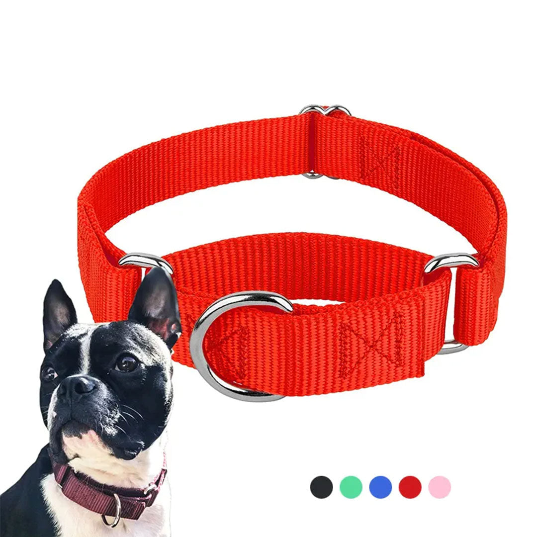 PetAffairs Nylon Dog Collar and Puppy Pet Collar For Small Large Dogs