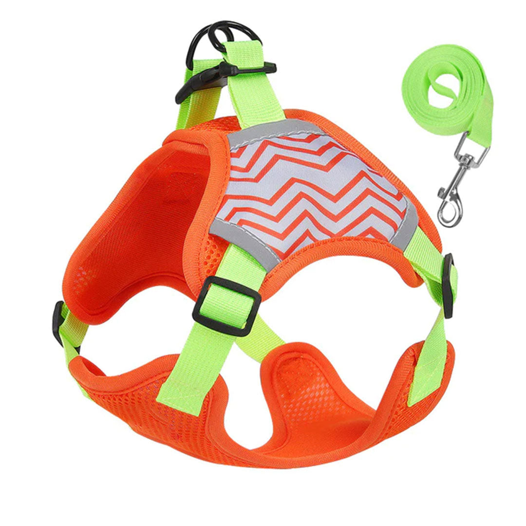 Paws and Patterns Dog Harness and Leash Set