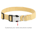 PetAffairs Buckle Martingale Dog Collar