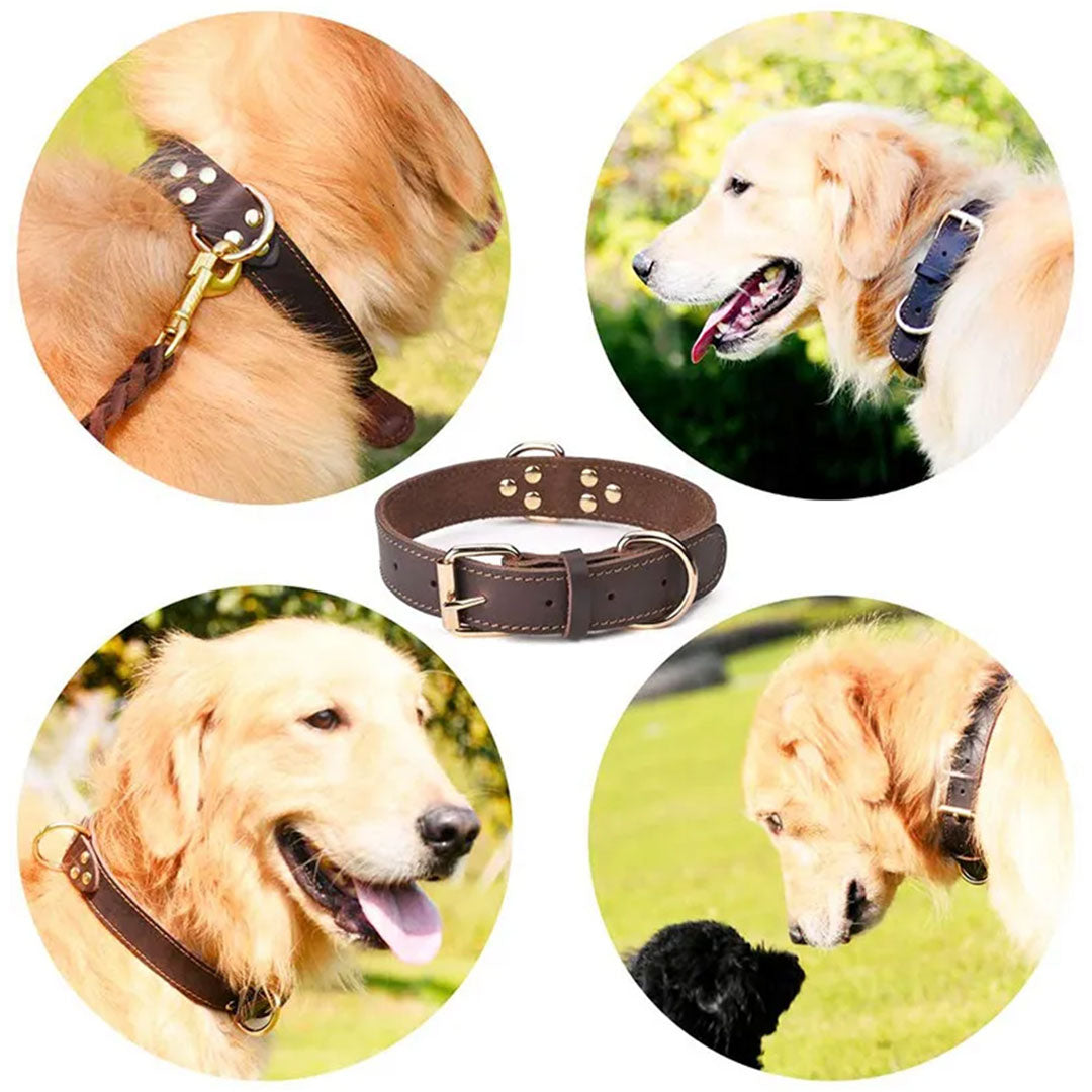 Stylish and Durable Leather Dog Collar with Personalized Engraving
