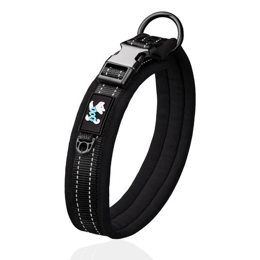 Personalized Reflective Dog Collar with Engraved Nameplate
