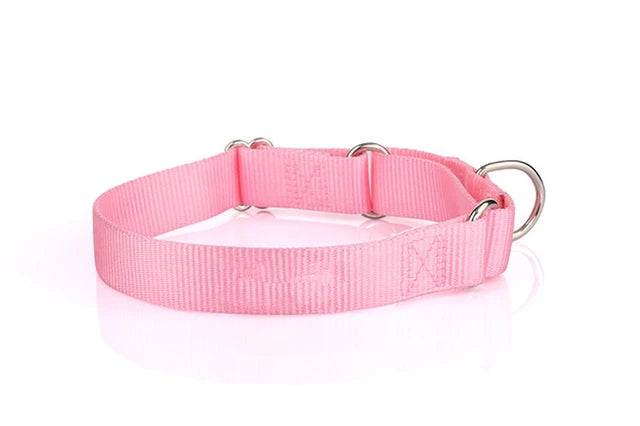 PetAffairs Nylon Dog Collar and Puppy Pet Collar For Small Large Dogs
