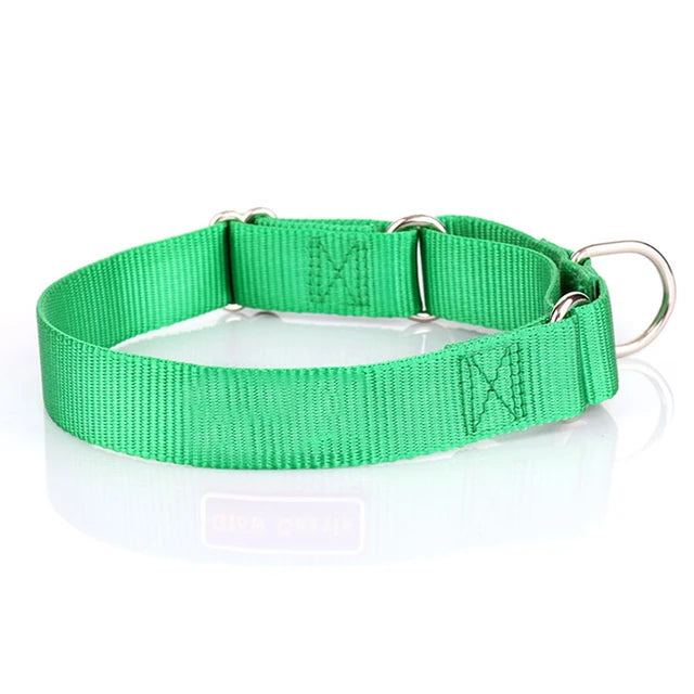 PetAffairs Nylon Dog Collar and Puppy Pet Collar For Small Large Dogs