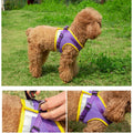 The Reflective Step-In Pet Harness and Leash Set