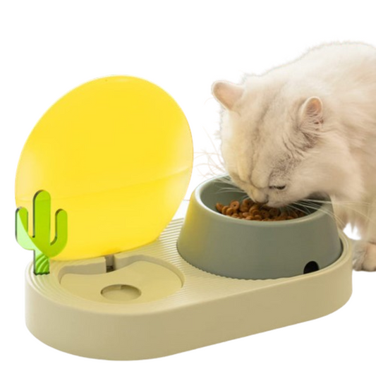 PetAafairs Kitten Food and Water Bowl Eco-Friendly Design