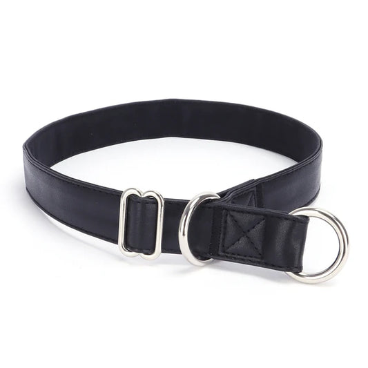 PetAffairs Fashion PU Leather Dog Collar Pet Collar Supplies