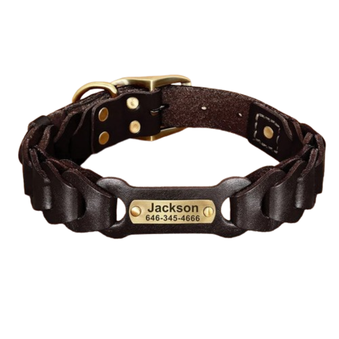 PetAffairs Custom Genuine Leather Pet Collar with Personalized Pet ID