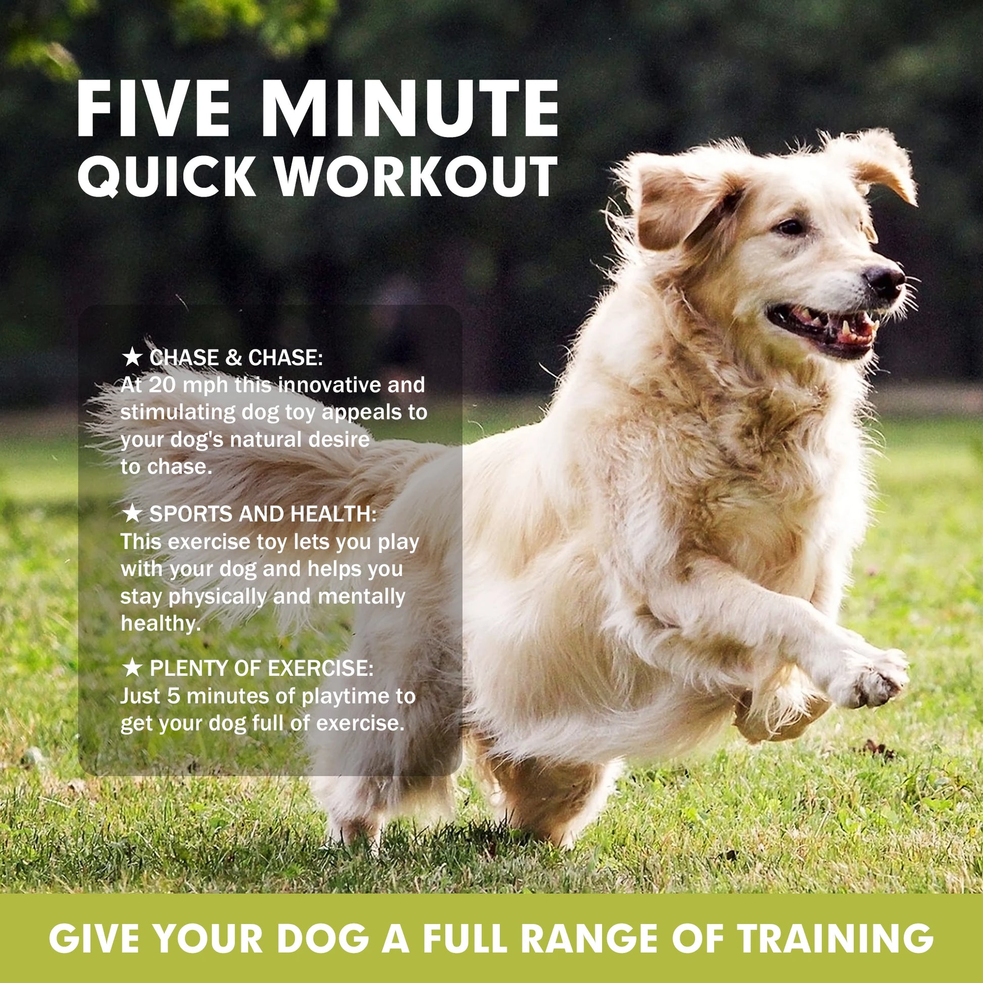 PetAffairs Dog Lure Course Machine Interactive Pet