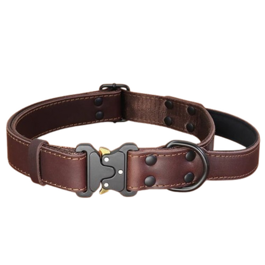 PetAffairs Soft Genuine Leather Dog Collar with Safe Buckle Handle