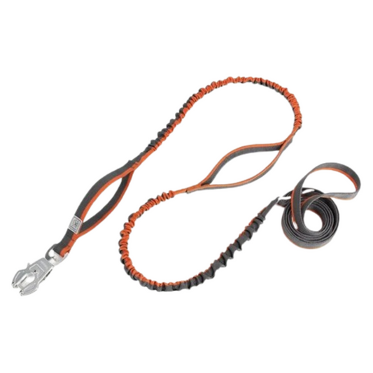 PetAffairs Dog Leash with Quick Release Frog Clip & Waterproof