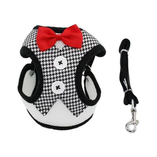 Comfortable Pet Harness and Leash Set for Your Dapper Companion