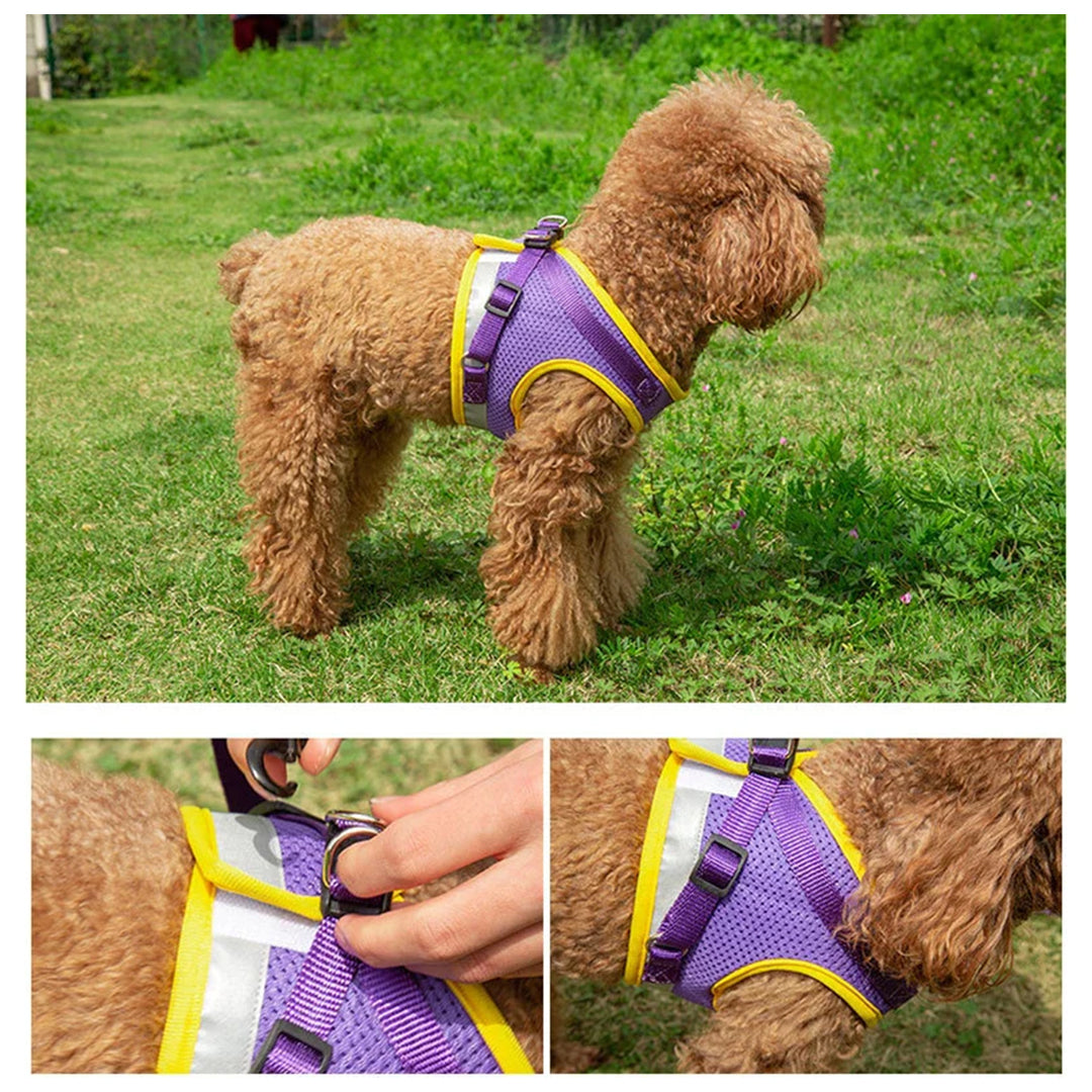 PetAffairs Reflective Dog Harness and Leash Set