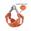 PetAffairs Adventure Dog Harness and Leash Set