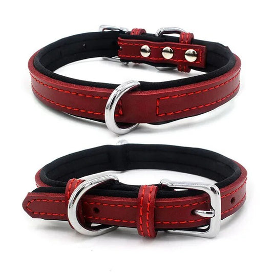 PetAffairs Adjustable Soft Leather Dog Collar for Small and Large Dogs