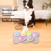 Recordable talking buttons (4 pack)