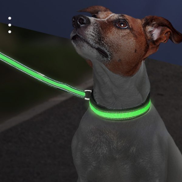 LED light-up dog collar, rechargeable