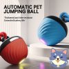 Motion-activated dog ball
