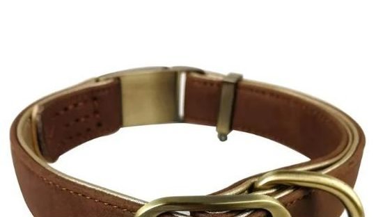 How to choose a leather dog collar that lasts