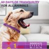 Natural Calm Pet Calming Collar