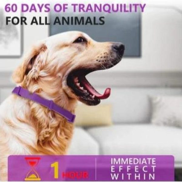 Natural Calm Pet Calming Collar